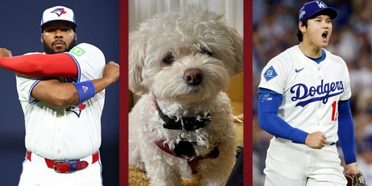 Thrilling World Series settles man vs. dog prediction contest