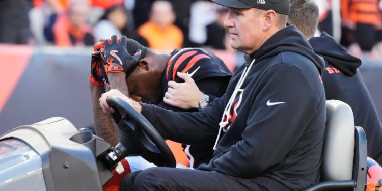 Tee Higgins injury update: Bengals WR carted off after head injury