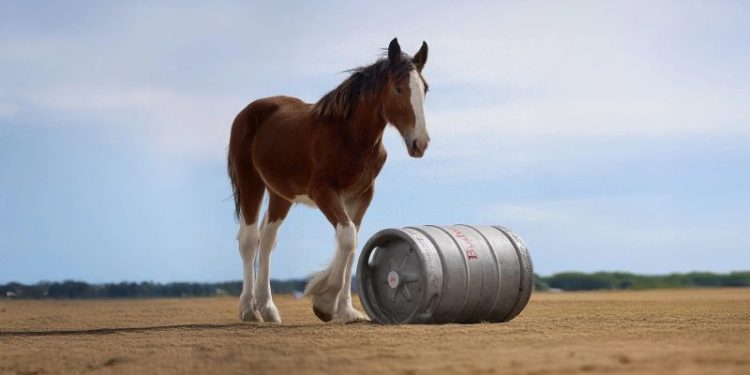 Best Super Bowl commercials from 2025: Watch last year’s top 10 ads