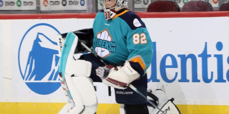 Brawl erupts at PWHL game in DC as record-breaking crowd cheers on