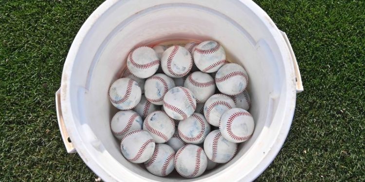 College baseball game briefly paused after pelican gets stuck in net