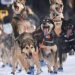 Iditarod underway as mushers, sled dogs begin 1,000-mile race