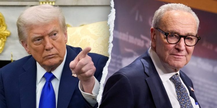 Trump says ‘losers’ Schumer, Dems would have criticized any decision he made on Iran